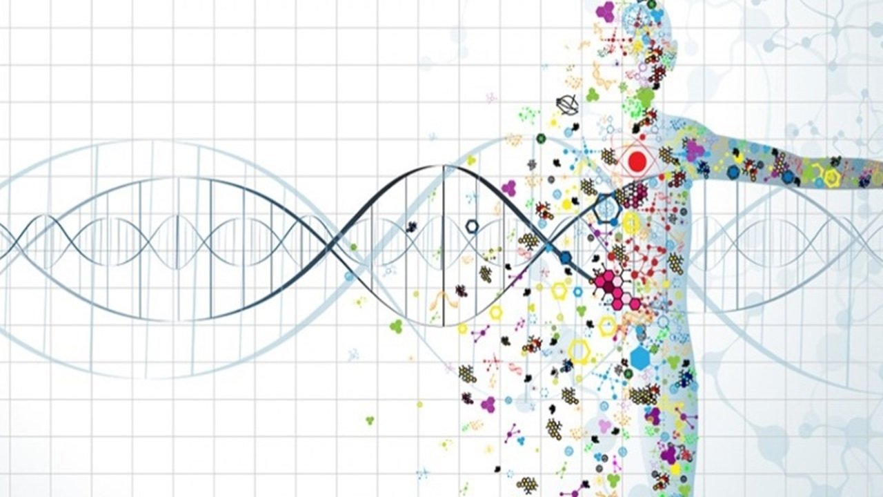 How Is Technology Empowering Personalized Healthcare?